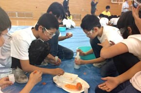 carrotrocket_2016