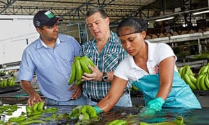 img_agriculture