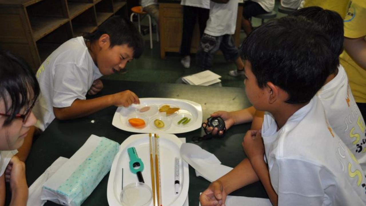 子どもたちはテーブルの周りに集まり、コンパスやトレイの上の食品サンプルなどさまざまなものを調べていました。