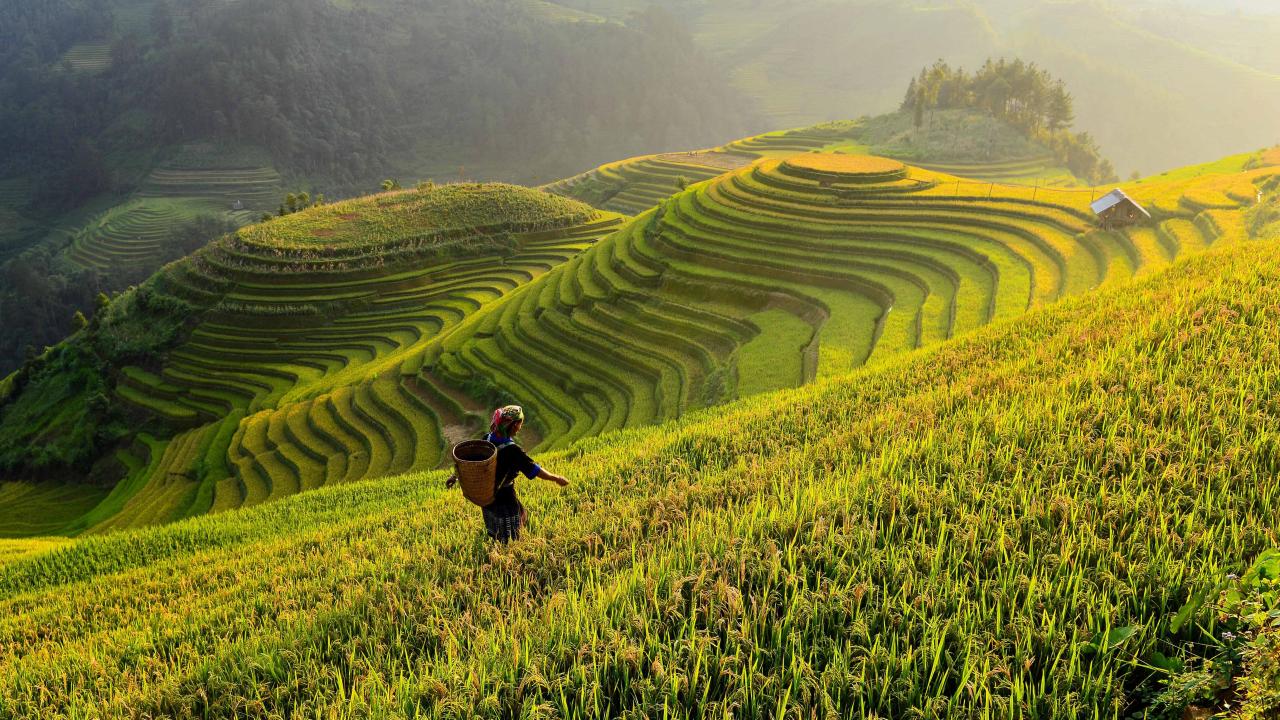 sustainability