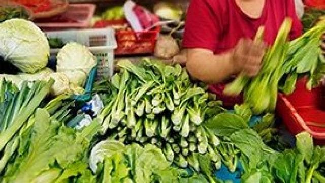 赤いシャツを着た人が、葉物野菜、キャベツ、セロリなどさまざまな緑の野菜を市場の屋台に並べています。