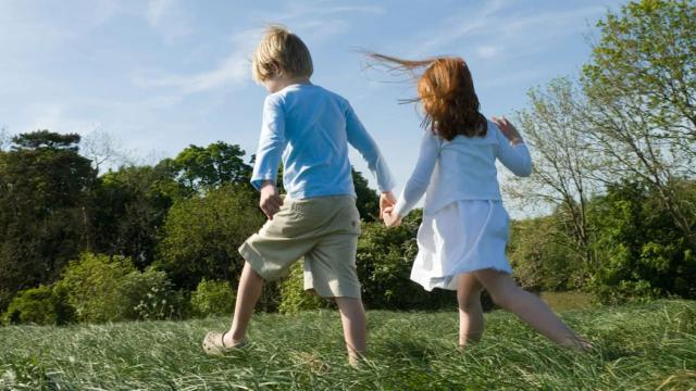 2 人の子供が手をつなぎ、木々と青い空を背景にした草原を歩いています。