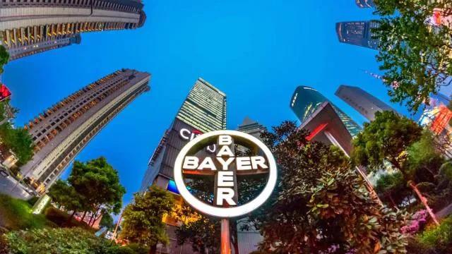 Bayer Cross