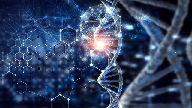 dna